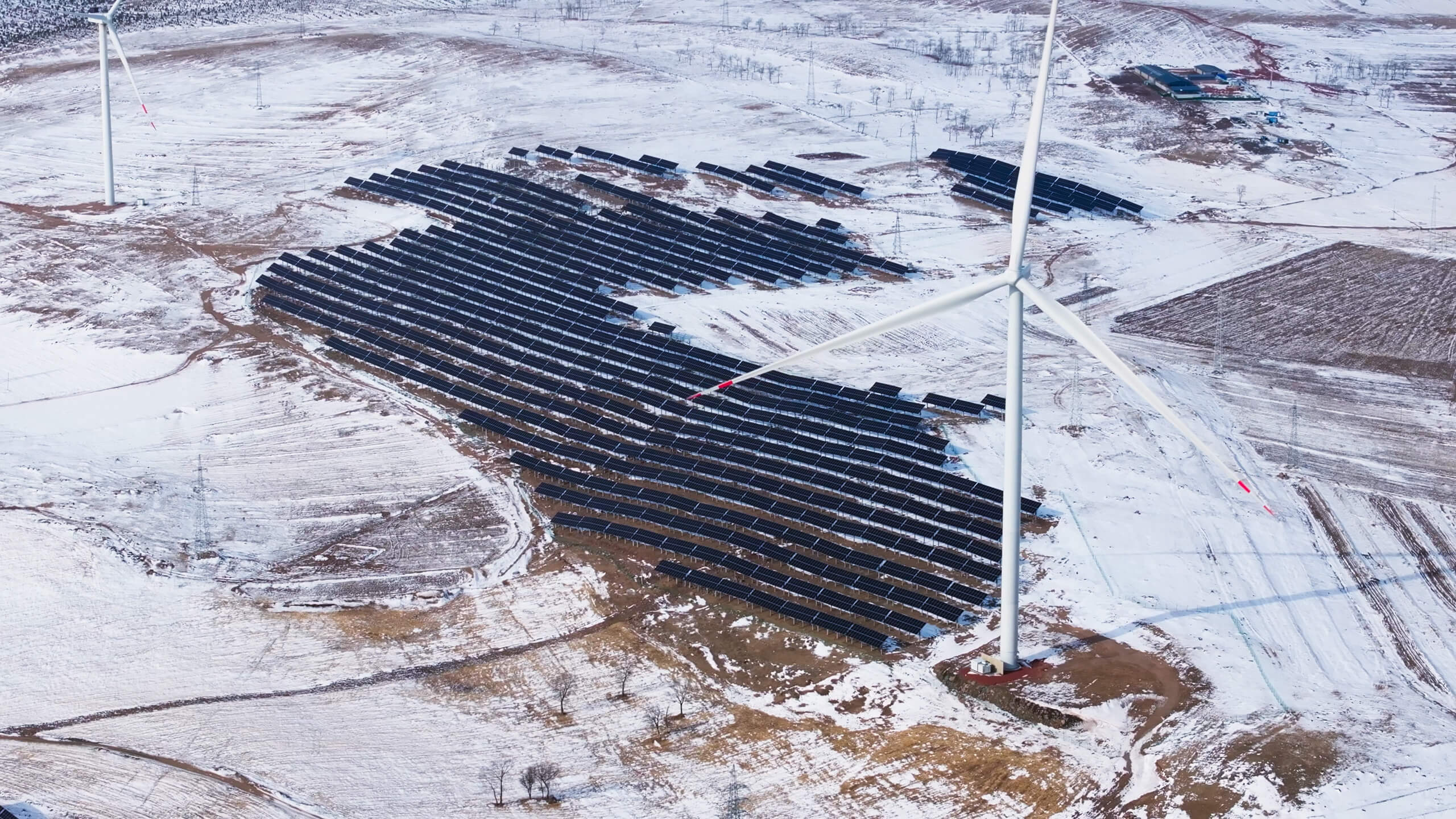 DJI_20241211120930_0240_D.mp4.00_00_35_37.Still001 1.jpg