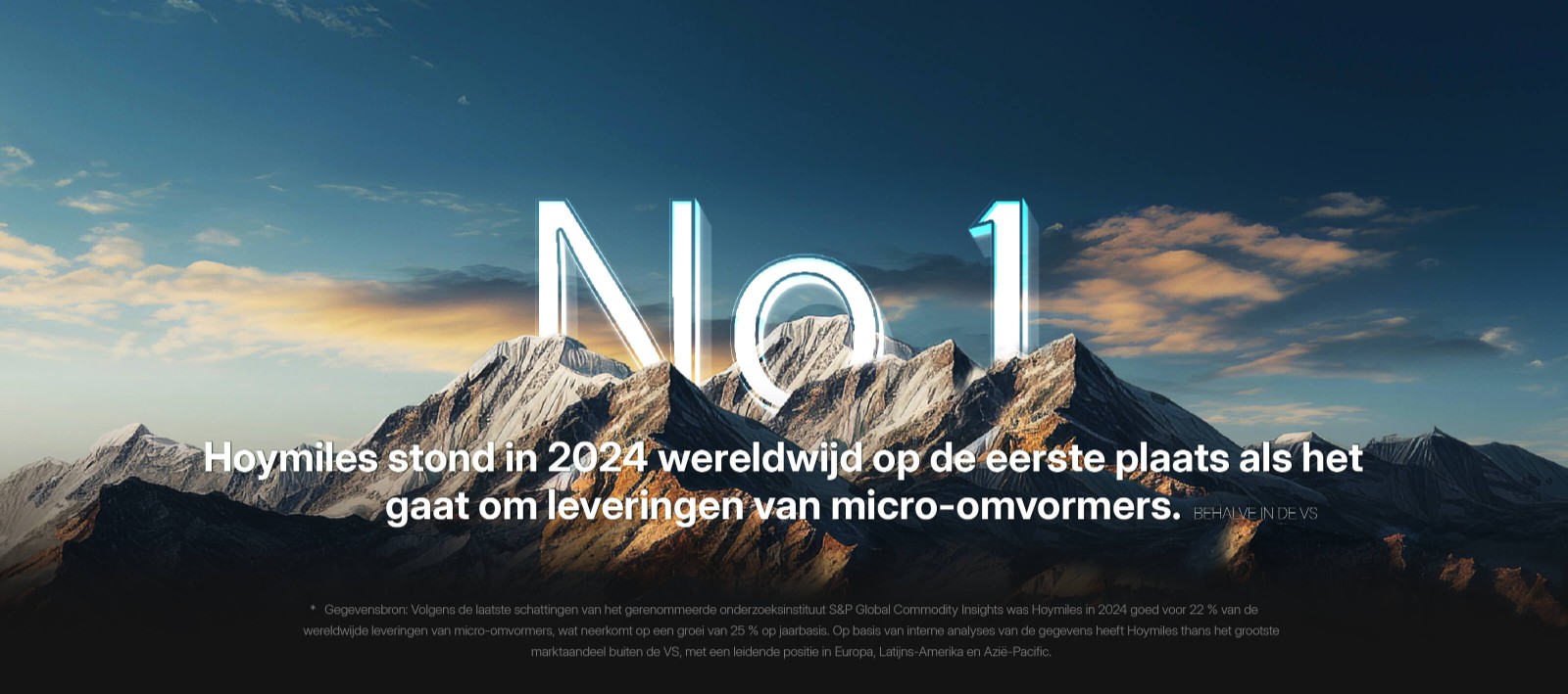 Hoymiles(3).jpg